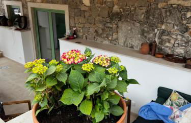 Casa da Curva - Foto 44