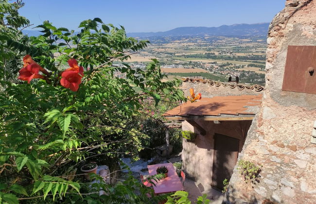 Italian Charming Mansion in the County Side Enjoy Umbria - Foto 1