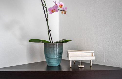 Apartmani Sladić - Photo 74