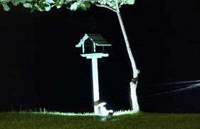 Cantinho da Paz! - Foto 32