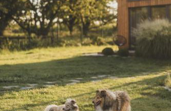 Okno Na Ślężę - Foto 13