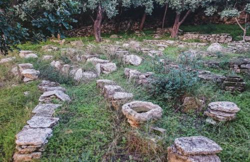 Lemon Tree Eco-Retreat - Foto 23