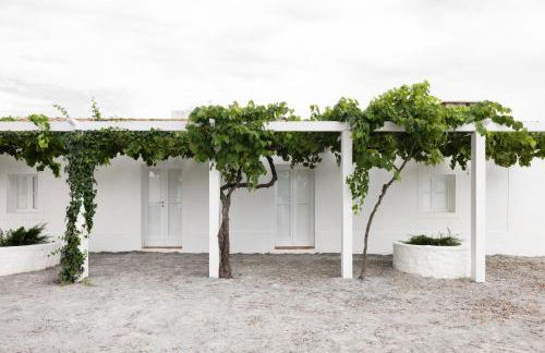 Monte dos Coureleiros - Foto 6