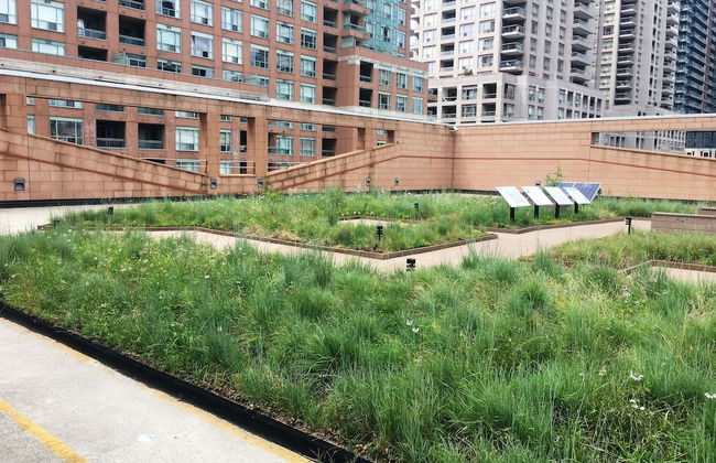 Altitude Suites on Yonge - Foto 62