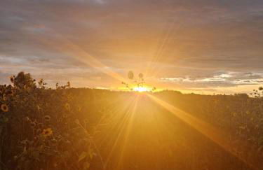 La Casa del Borgo - Foto 68