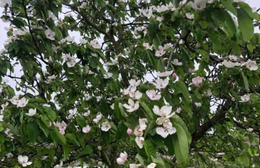 Condrieu et parking voiture vélo 2 ème étage - Foto 63