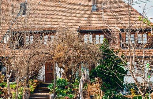 Schweizerblick - Denkmalgeschützes Haus in ruhiger Lage - großer Garten und mit Charme eingerichtet - ideal für Familien, Paare & Hund - Foto 9