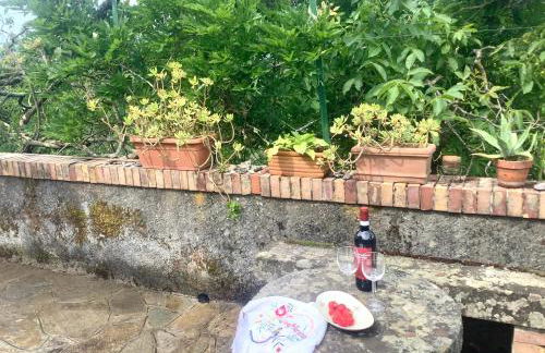 Artists' holiday home near Cinque Terre - 4 bedrooms, large terrace, great views - Foto 30