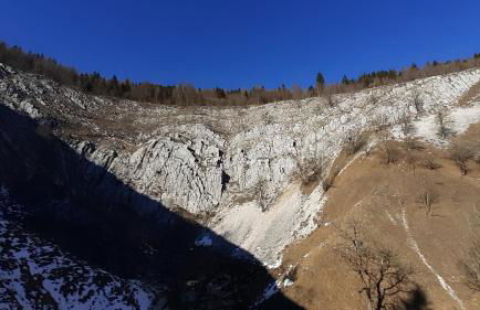 Le Bois gentil - Foto 14