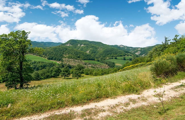 Holiday Home in Citta di Castello With Pool - Photo 40