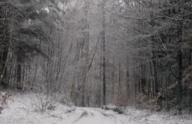 Ptasi Zakątek - Foto 31