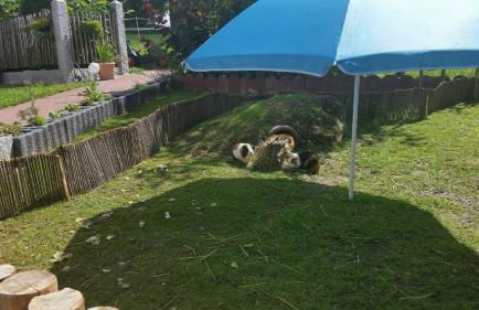 Ferienhaus Zillendorf - Foto 40