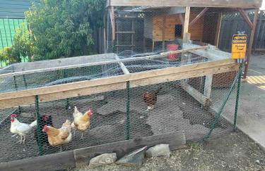 Beautiful spacious guest home - Foto 25