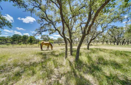 Swim, Hike and Unwind Serene Hill Country Retreat - Foto 34