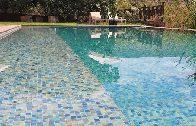 Le Figuier du lac - Photo 48