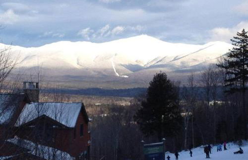 Private Cabin on 1.7 acres w/ Fireplace White Mtns - Photo 39