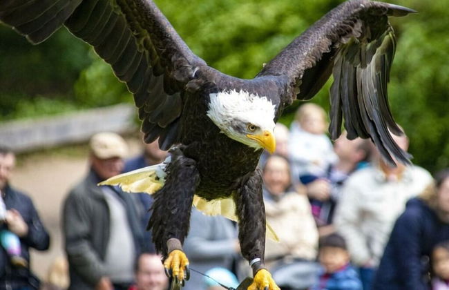 Holiday House on Bornfeld - Photo 18