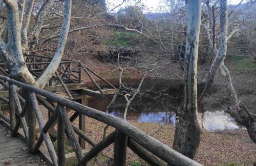 Alexander's cottage - Foto 26