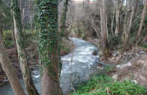 Kleanthi's House - Photo 36