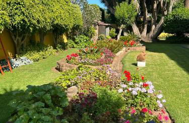 Finca El Trazo - Foto 39