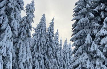 Villa Parkblick Wohnung 2 - Foto 12