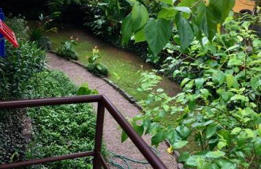 Casa da árvore - Foto 11