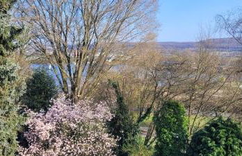 Vierzimmerwohnung am Harkortsee - Foto 25