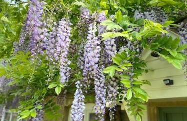 The Bolt Hole, Cotswold Cottage, Moreton-In-Marsh - Foto 32