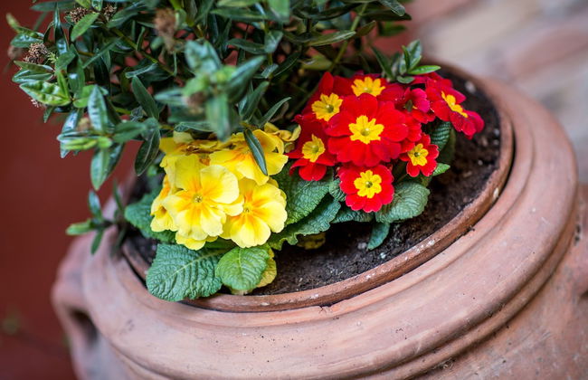 Camere Centro Storico - Photo 40