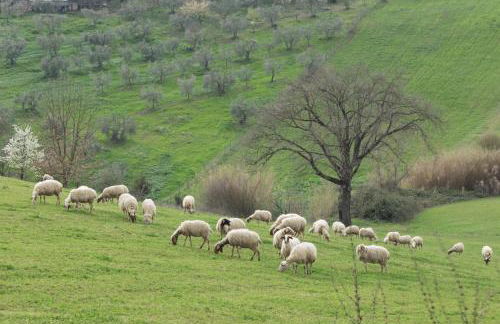 Casale del Farfa House - Foto 25