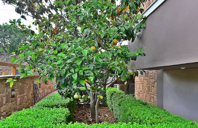 Mastiha Villas in Town - Foto 45