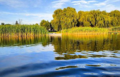 Przystań Nad Miążką - Foto 39