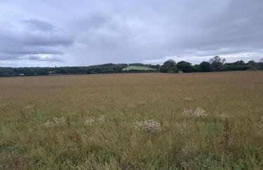 Historic 3-Bed Cottage with Garden in Hursley - Foto 45