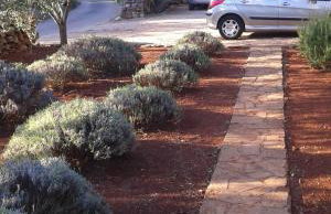 Apartments Basina - Foto 44