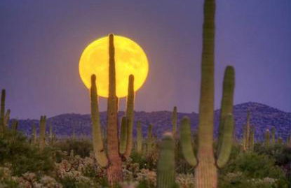 Rio Rancho Verde Two Bedroom Suite - Foto 18