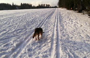 Haus Brockenblick - Foto 34