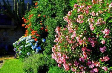 Casa do Faial - Braga - Foto 12