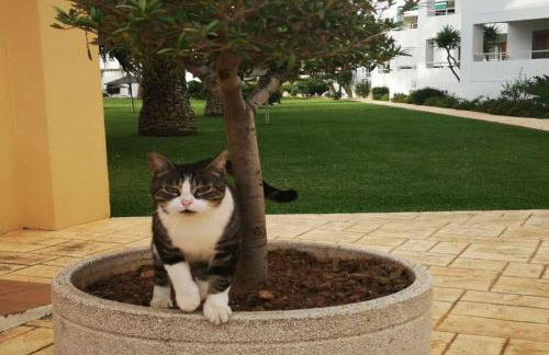 Casa en urb. con la piscina más GRANDE de Jávea. - Foto 16