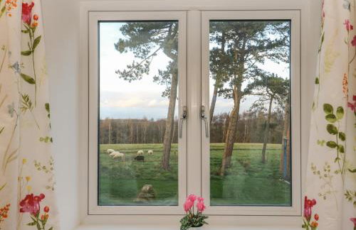 Ploughman's Rigg - Photo 16