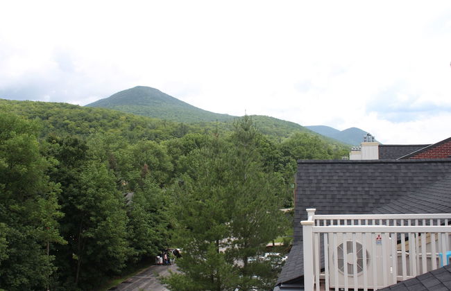 The Nordic Inn a Condominium Resort - Photo 40