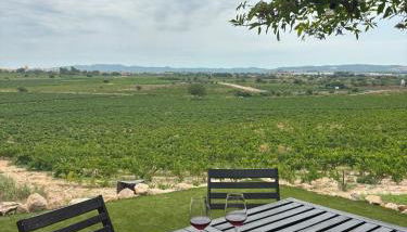 Cabernet Rural - Foto 2