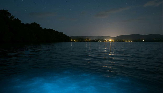 Luminous Lagoon Night Trip - Foto 4