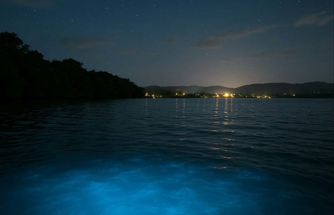 Luminous Lagoon Night Trip - Foto 4