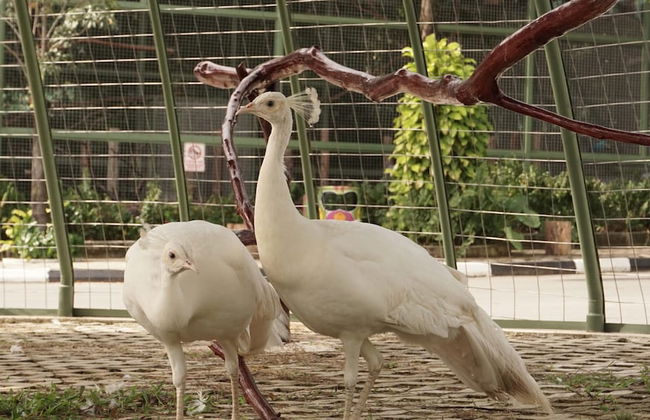 Panbil Residence Serviced Apartment - Foto 59