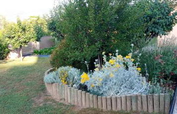 El racó del Puig - Foto 37