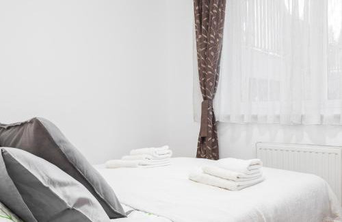 OLIVA 4 STARS - Photo 31