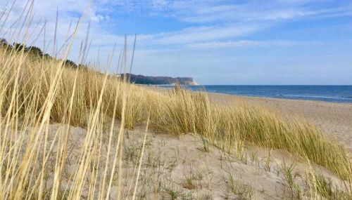 captain & sun - Foto 2