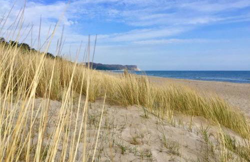 captain & sun - Foto 2