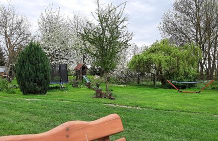 Orzechowy Dworek - Foto 14