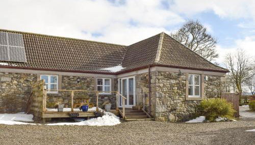 White Wisp - Photo 2